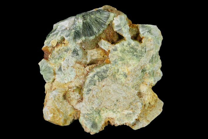 Radiating, Green Wavellite Crystal Aggregation - Arkansas #135965